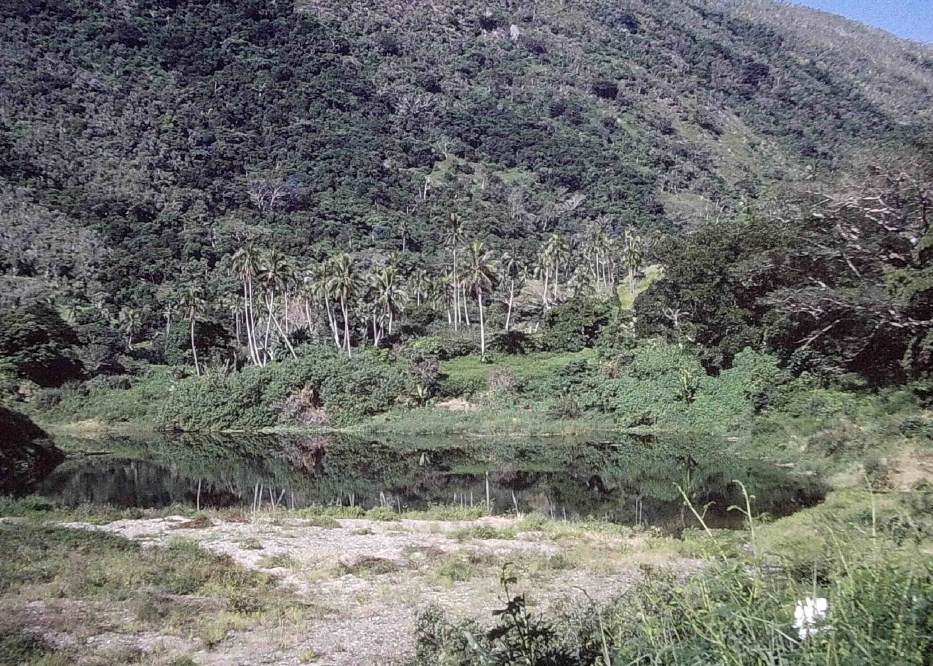 Retenue d'eau Bas Coulna 