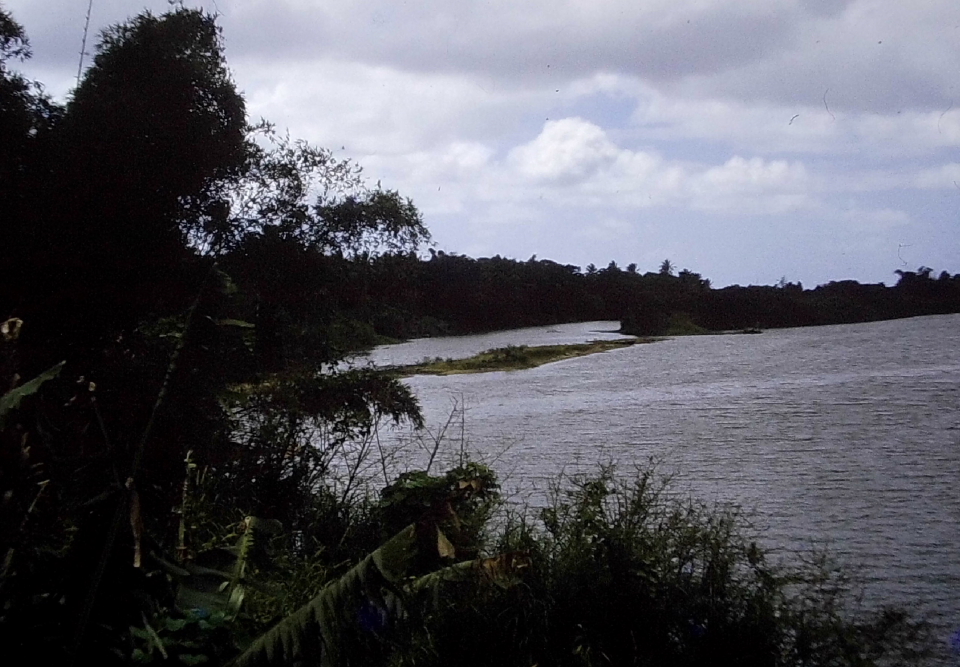 Rivière qui se jete dans la mer Hienghène (1)