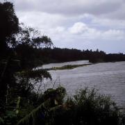 Rivière qui se jete dans la mer Hienghène (1)