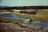 1965 caussepict0165