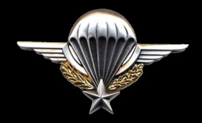 Brevet parachutiste metal