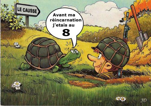 Reincarnation